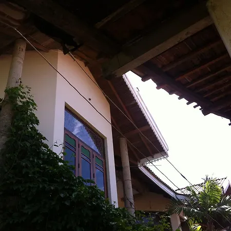 Bee Nest Bed&Breakfast-2